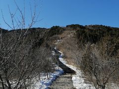 -北京西山国家森林公园