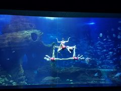 -多彩贵州城极地海洋世界