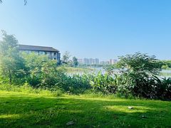 -洋湖国家湿地公园