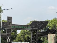 -溱湖国家湿地公园