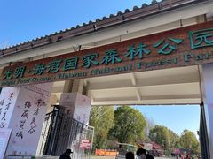 -上海海湾国家森林公园