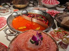 -小龙坎火锅(全球总店)