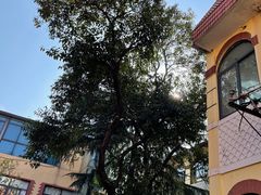 -上海市皮肤病医院(武夷路院区)