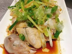 招牌葱油鸡-粤·向群饭店(龙津东路总店)