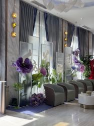 -深圳美莱医疗美容医院