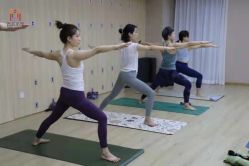 -酉嘉瑜伽YO+YOGA