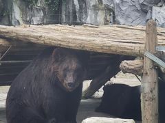 -黔灵山公园