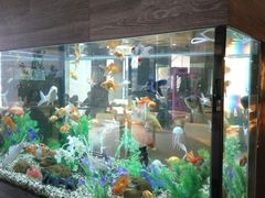 -大家乐(东莞虎门店)