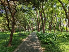 -玲珑塔公园
