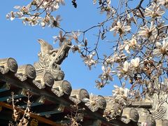 -碑林公园