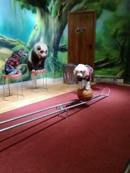-未来动物城主题公园(正弘城店)