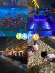 -欢乐舟·舟舟玩乐园