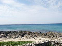 -龙坑生态保护区