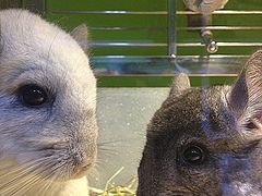 -龙猫仔乐园(惠福东路店)