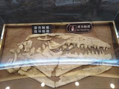 -抱璞文化展示中心