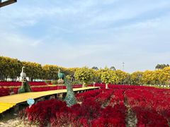 -广东花都香草世界旅游度假区