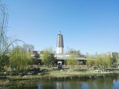 景点-舍利塔滩地公园-无垢净光舍利塔