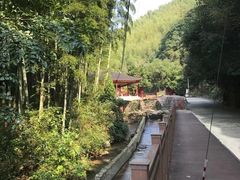 -众神白水涧景区