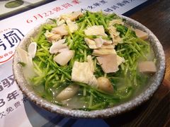 上汤豆苗-拾叁唐Livehouse(佛山禅城店)