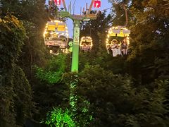-富斯特索道