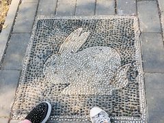 -北京麋鹿生态实验中心