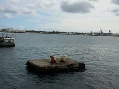 android_upload_pic-夏威夷珍珠港