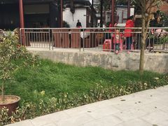 -苏记溪河鲢鱼庄(天府新区店)