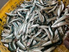 -尼甘布海鲜市场