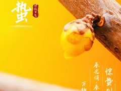 -地坛公园