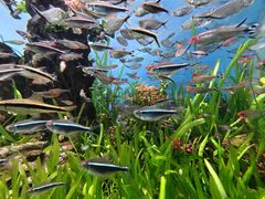 -太平洋海底世界