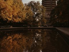 -玲珑塔公园