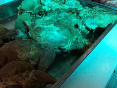 腊牛肉-老马家马峰腊牛羊肉店(桥梓口店)