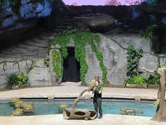 -夜间野生动物园