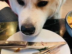 -the rug 飞毯 (朝阳公园店)