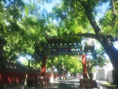 -北京国子监胡同