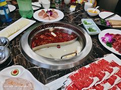 -秦宝雪花牛肉养生火锅(大兴九臻店)