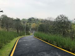 -飞凤山奥体公园