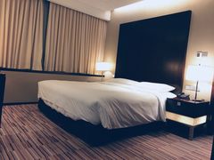 -上海龙之梦万丽酒店