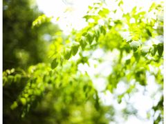 -桐君山春江扬帆码头