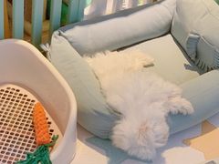 -爱诺耐芙动物医院(万博店)