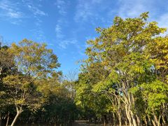 -尚贤河湿地
