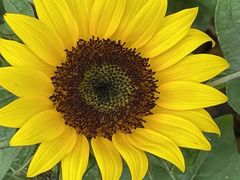 -广州白江湖森林公园