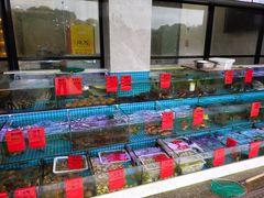 水产区-洲晓鲜·舟山海鲜大排档(朱家尖风景区店)