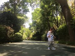 -迎泽公园