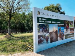 -上海海湾国家森林公园