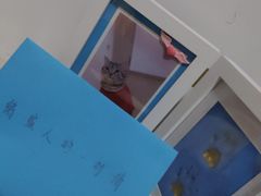 -翡翠森林宠物火化殡葬(通州店)