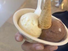 -极拉图·现制冰淇淋(大卫城店)