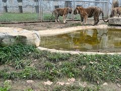 -黔灵山公园