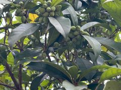 -长沙火车站(地铁站)