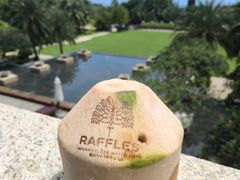 -海南清水湾莱佛士酒店